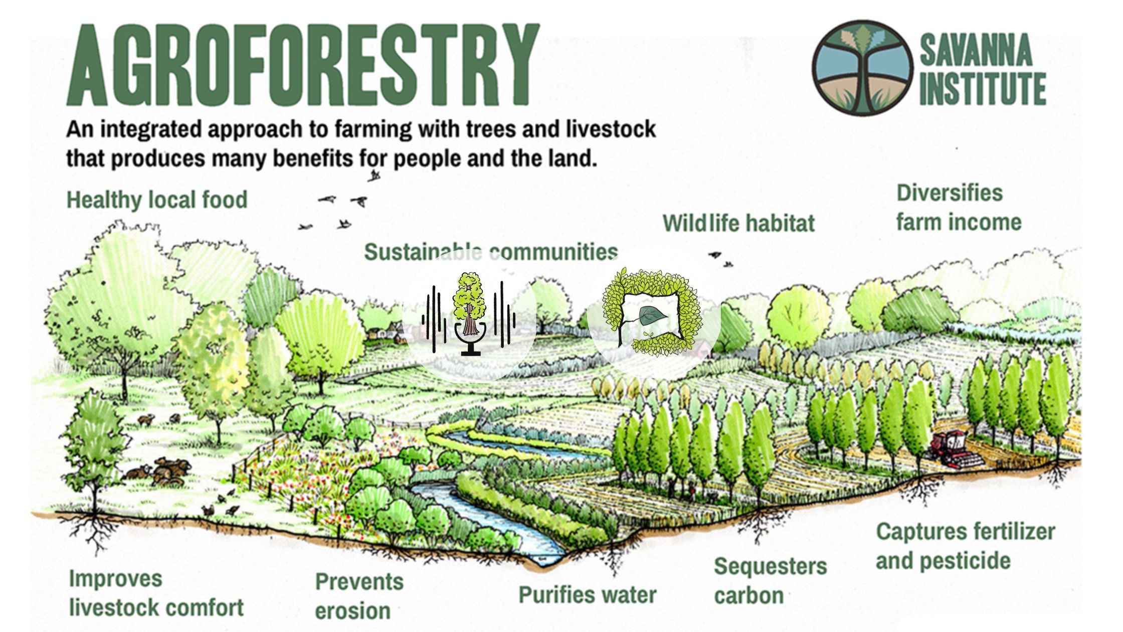 Agroforestry Infographic