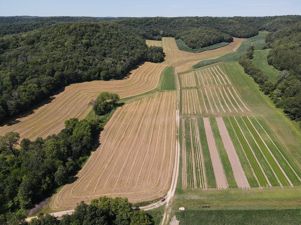 Laying the groundwork for widespread agroforestry at Savanna Institute’s Campus in Spring Green, WI.