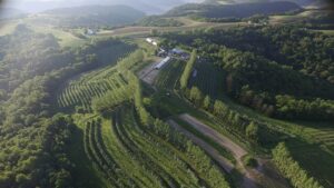 Hoch Orchard alley crops from an aerial view.