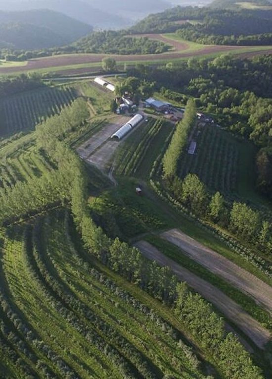 Hoch Orchard alley crops from an aerial view.