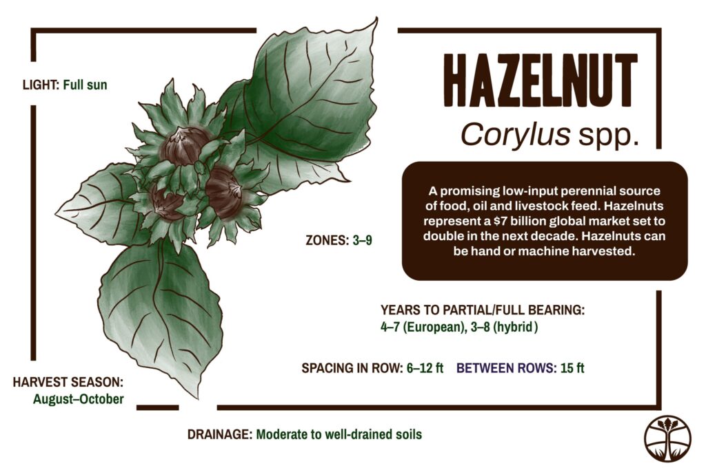 Sign for Hazelnuts as crops