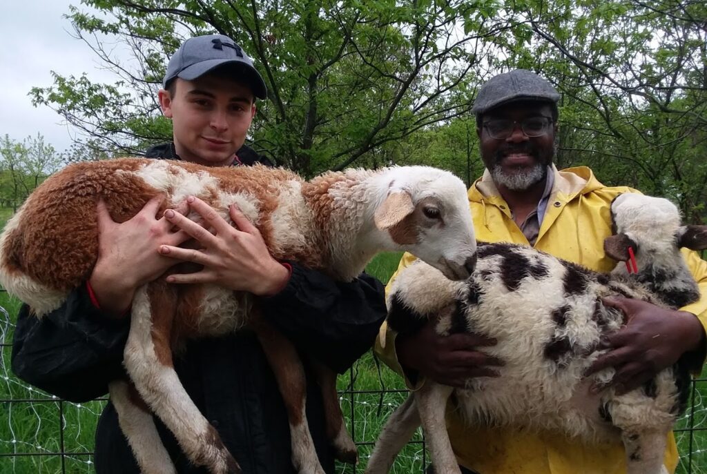 Two agroforestry apprentices holding baby rams.