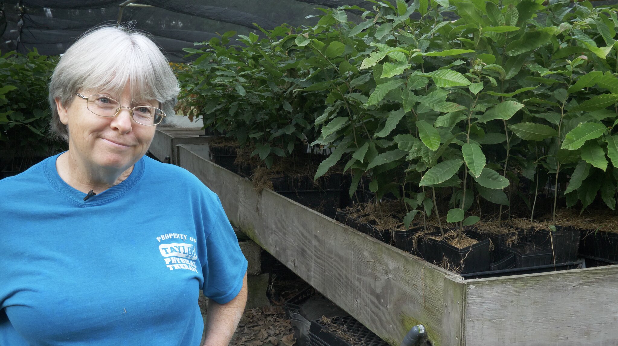 Kathy Dice of Red Fern Farm stands in front of young Chestnut trees.