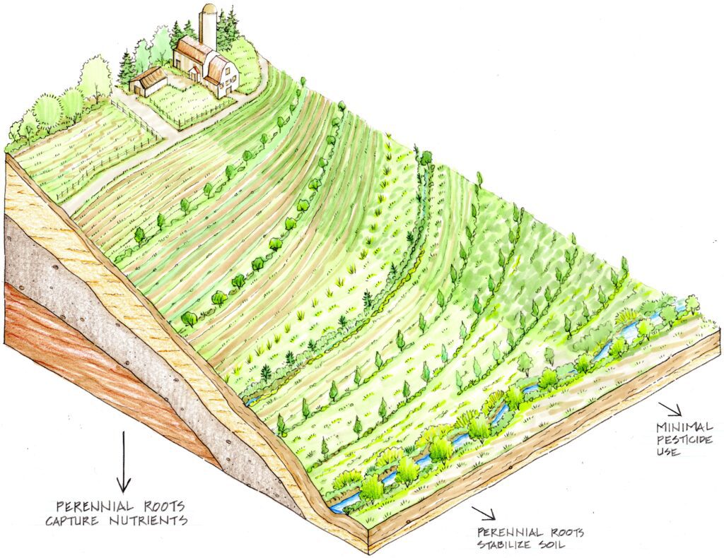 Systems Change Agriculture diagram.