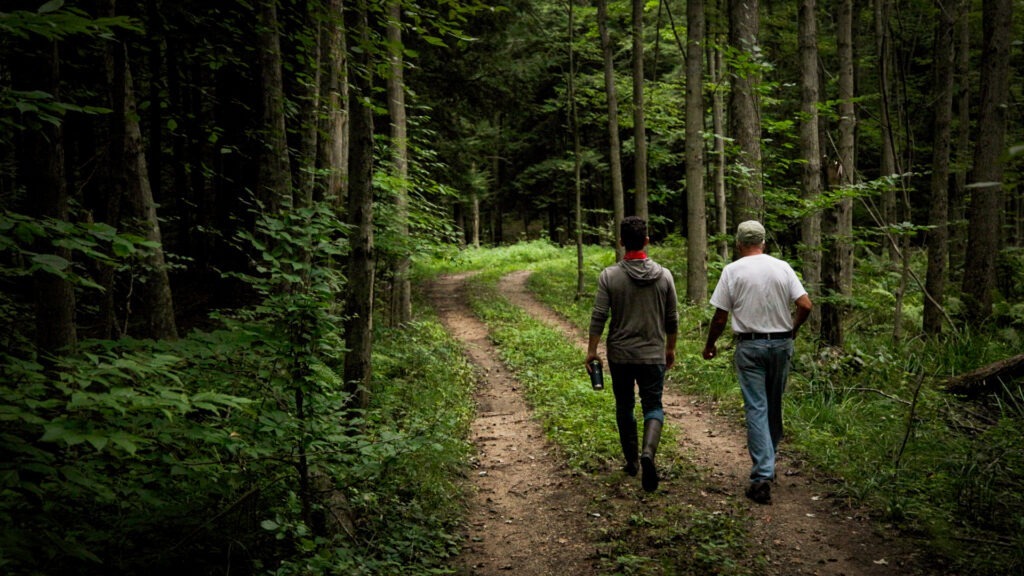 Two people walking down a two-track trail in a west Michigan forest.