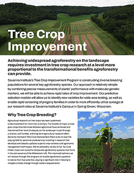 Tree-Crop-Improvement-Program-Brief_Page_1