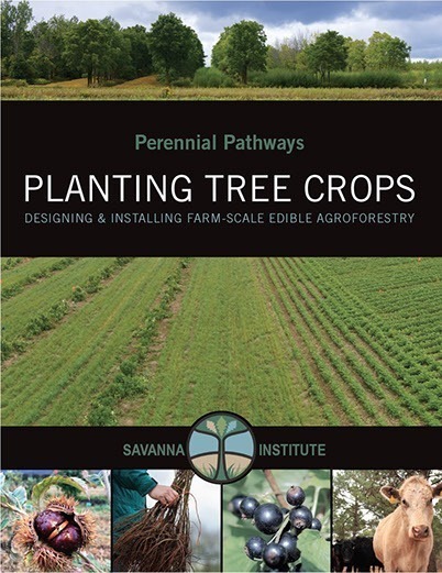 plantingtreecrops