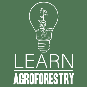 LearnAgroforestry_sq_green